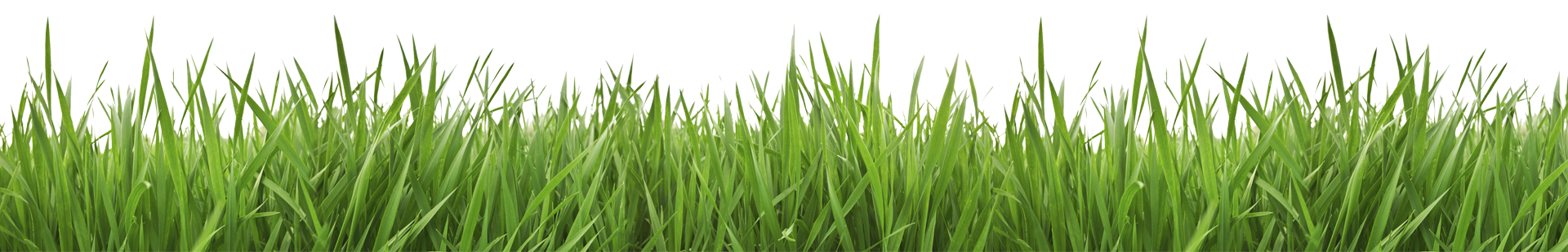 Apollo Lawncare LLC